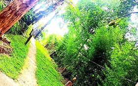 Ella Foret Accommodation