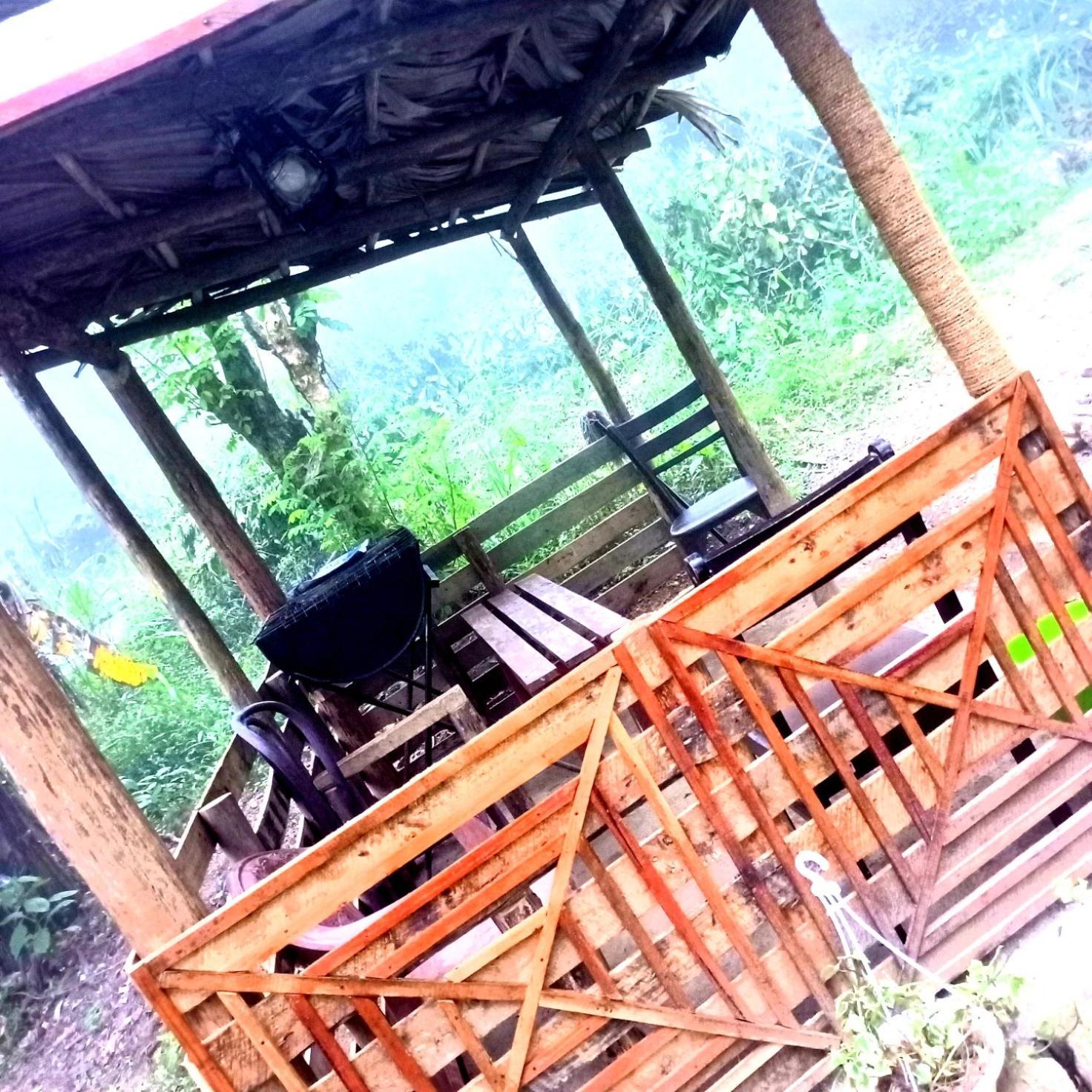 Ella Foret Accommodation Экстерьер фото
